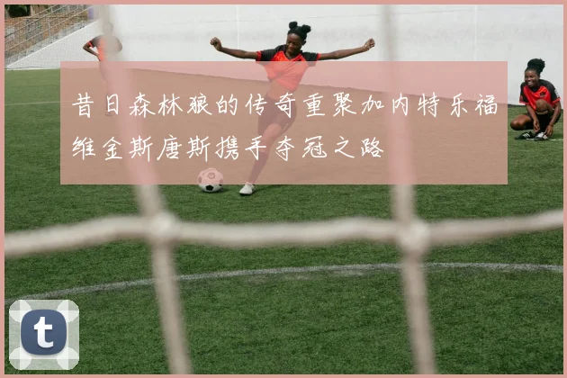 昔日森林狼的传奇重聚加内特乐福维金斯唐斯携手夺冠之路