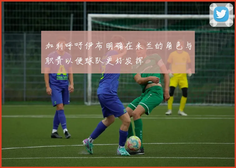 加利呼吁伊布明确在米兰的角色与职责以便球队更好发挥